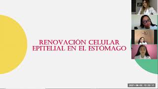 ESTOMAGOPROYECTO FINALHISTOLOGIA Y SU LABORATORIO II2C [upl. by Severin]