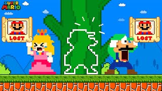 Mario challenges Hide and Seek with Luigi Peach  Game Animation [upl. by Jermayne]