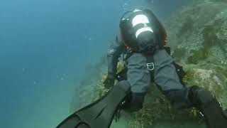 Milford Sounds New Zealand Scuba diving [upl. by Hulbig]