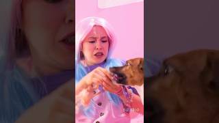 Barbie gets attacked by a dog 😱 [upl. by Aicissej]