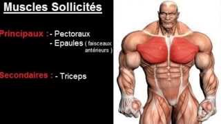 Exercice musculation Pectoraux  quot Développé couché haltères quot [upl. by Leinad]