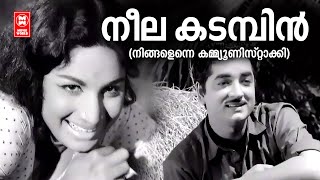 Neelakadambin  Ningalenne Communistaakki  Vayalar  G Devarajan  Malayalam Romantic Song [upl. by Ylaek]