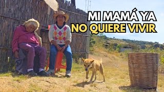 quotUn gato revolcó a mi hermana después se puso malquotLupe [upl. by Mclyman]