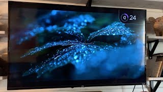 TCL 4Series 4K UHD HDR 55inch Roku Smart TV blogger review [upl. by Eltsirhc714]