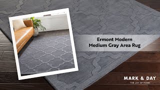 Ermont Modern Medium Gray Area Rug [upl. by Feledy859]