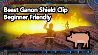 Beast Ganon Escape Basic Shield Clip [upl. by Vinay]