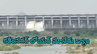 లోయర్ మానేరు డ్యాం గేట్లు ఎత్తివేత🐟yatala shankar vlogs యాటల శంకర్ వీడియో🐟 [upl. by Becht]