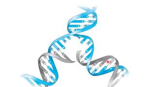 Chapter 8 DNA Replication and Protein Production [upl. by Chancellor]