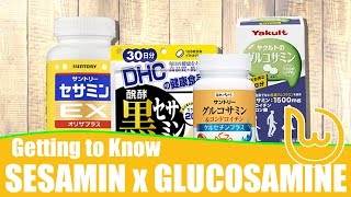 Getting to know Sesamin x Glucosamine Supplements [upl. by Noirred]