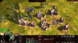 In the Flankuer Fight For My Life And Geaf Fights with 6 Vils  Age of Empires 3 Wars of Liberty [upl. by Inoj]