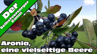 Das kann man alles aus Aroniabeeren machen [upl. by Palila215]