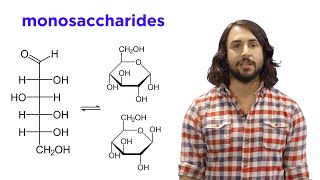 Carbohydrates Part 1 Simple Sugars and Fischer Projections [upl. by Ketchan]