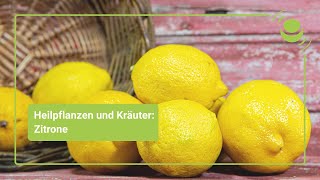 Zitrone – Alles was du über ihre Wirkung wissen solltest [upl. by Nannaihr]