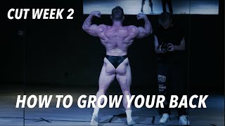 Back Gains That Will Make You Forget Leg Day Exists [upl. by Uria]