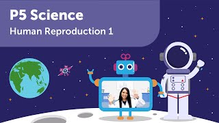 Reproduction in Humans  P5 Science  Learn PSLE Primary 5 Science with Geniebook [upl. by Ursola]