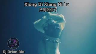 Xiong Di Xiang Ni Le 兄弟想你了 Remix By Dj Brian Bie Tiktok Hot Song Douyin [upl. by Amieva]