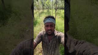 NTR Thammudu Yara Chandana Video ntrtelugushorts ntr shorts youtubeshorts tiktok [upl. by Odom]