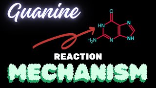 GuanineReaction Mechanism [upl. by Ahsiened366]