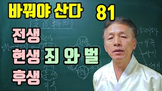 전생 현생 후생 죄를 지으면 짐승으로 태어나게 된다 [upl. by Evans443]