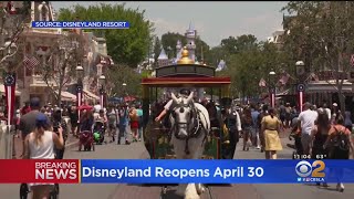 Disneyland To Reopen On April 30 [upl. by Hollie]