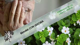 ¿Te DISTRAES fácilmente BRAHMI CON LEUCINA para la LUCIDEZ MENTAL [upl. by Eben]