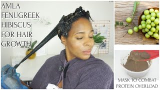 DIY AMLA FENUGREEK HIBISCUS MOISTURE RICH MASK FOR HAIR GROWTH amp PREVENT HAIR LOSS  Mel’s World [upl. by Etyam]