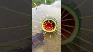 Survival Skills Simple and Useful with Watermelon Turtle 🐢 Trap survival funny simple bushcraft [upl. by Adnawed]