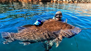 cedros island Sport fishing  epic [upl. by Eahsal]