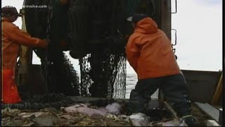 3 charged with breaking herring fishing laws [upl. by Soirtimid]