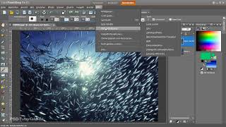 Corel PaintShop Pro X5  03 Anpassen der Tastaturbefehle [upl. by Payne744]