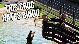 Croc Feeding Show With The Irwins At Australia Zoo [upl. by Ayotna]