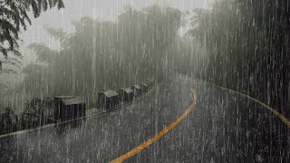 Sonido de Lluvia para Dormir Profundamente y Relajarse en 5 Minutos  Lluvia en el Selva Tropical [upl. by Drofnelg255]