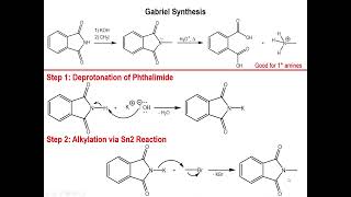 Lec9  Gabriel Synthesis of Primary Amines [upl. by Maurizio]