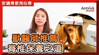 里長伯Bibo 活力跑跑管秩序一把罩！｜安適得使用心得 [upl. by Franni62]