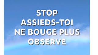 01  Stop  Assieds toi  Ne Bouge plus  Observe   Selim Aïssel  Spiritualité  2min [upl. by Narrad]