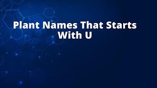 Plant Names That Starts With U [upl. by Stoat]