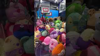 Squishmallow Dream 😧 shorts clawmachine squishmallows squishmallow arcade [upl. by Nnaeus625]