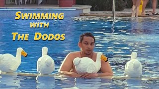 SWIMMING WITH THE DODOS  Ambre Hotel Mauritius [upl. by Ronnie]