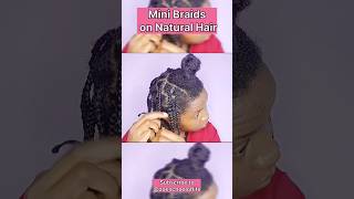 Mini Braids on 4c Hair naturalhair shorts [upl. by Analeh362]