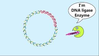 animation of rDNATech of gene cloning👌 [upl. by Nylatsirk]