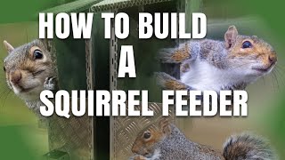 How To Build A Squirrel Feeder [upl. by Ettenhoj514]