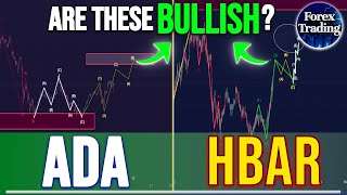 What is Next for CARDANO and HBAR   CARDANO and HBAR Price Prediction  HBAR and ADA News Now [upl. by Arzed]