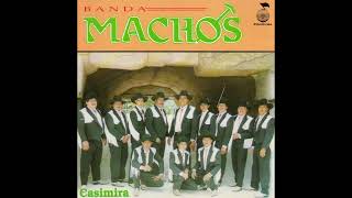 Banda Machos  Traficantes Michoacanos [upl. by Linnea]