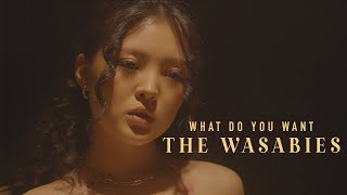 THE WASABIES  What do you want Official music video [upl. by Lliw]