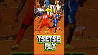 TSTSTSTsetse Fly  Aviator kasifootball youtubechamps [upl. by Kronick]