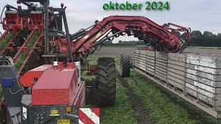 Oktober 2024 heyboer bv [upl. by Erda166]