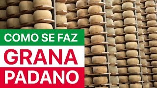 Como é a incrível produção do Queijo Grana Padano 🧀 Experiência [upl. by Sennahoj]