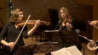 Haydn String Quartet No 53 in D Major Op 64  quotThe Larkquot [upl. by Onailimixam883]