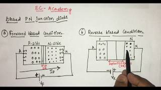 3 P N junction diode under forward bias and reverse bias Condition  EC Academy [upl. by Annawak]