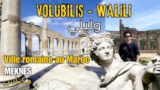 Volubilis ou Walili  Une Ville Romaine au Maroc [upl. by Harifaz]